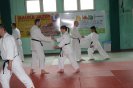 Aikido Yoshinkan Seminars 2010