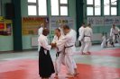 Aikido Yoshinkan Seminars 2010