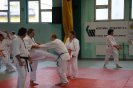 Aikido Yoshinkan Seminars 2010