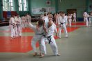 Aikido Yoshinkan Seminars 2010