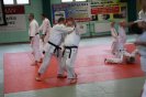 Aikido Yoshinkan Seminars 2010