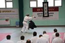 Aikido Yoshinkan Seminars 2010