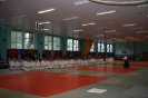 Aikido Yoshinkan Seminars 2010