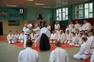 Aikido Yoshinkan Seminars 2010