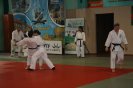 Aikido Yoshinkan Seminars 2010