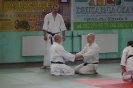 Aikido Yoshinkan Seminars 2010