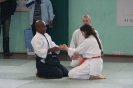Aikido Yoshinkan Seminars 2010