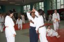 Aikido Yoshinkan Seminars 2010
