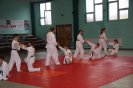 Aikido Yoshinkan Seminars 2010