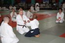 Aikido Yoshinkan Seminars 2010