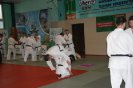Aikido Yoshinkan Seminars 2010