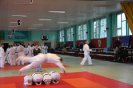 Aikido Yoshinkan Seminars 2010