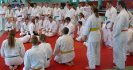 Aikido Yoshinkan Seminars 2007_12