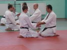 Aikido Yoshinkan Seminars 2007_14