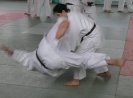Aikido Yoshinkan Seminars 2007_16