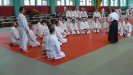 Aikido Yoshinkan Seminars 2007_20
