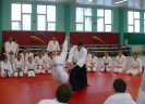 Aikido Yoshinkan Seminars 2007_23
