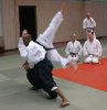 Aikido Yoshinkan Seminars 2007_5