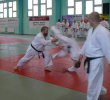 Aikido Yoshinkan Seminars 2007_8