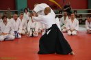 Aikido Yoshinkan Seminars 2008_13