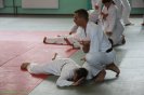 Aikido Yoshinkan Seminars 2008_14