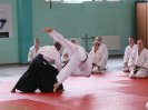 Aikido Yoshinkan Seminars 2008_15