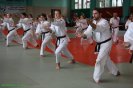 Aikido Yoshinkan Seminars 2008_19