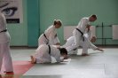 Aikido Yoshinkan Seminars 2008_1