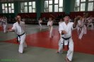 Aikido Yoshinkan Seminars 2008_28