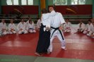 Aikido Yoshinkan Seminars 2008_29