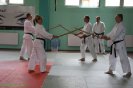 Aikido Yoshinkan Seminars 2008_3