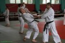 Aikido Yoshinkan Seminars 2008_4