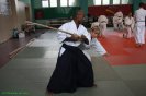 Aikido Yoshinkan Seminars 2008_5