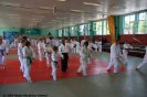 Aikido Yoshinkan Seminars 2009_17