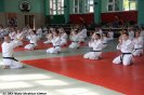 Aikido Yoshinkan Seminars 2009_3