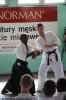 Aikido Yoshinkan Seminars 2009_4