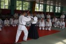 Aikido Yoshinkan Seminars 2009_5