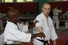 Aikido Yoshinkan Seminars 2009_8